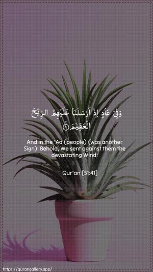 Adh-Dhaariyat Ayah 41 - Arabic + English wallpaper