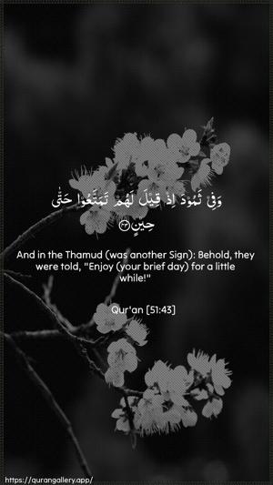 Adh-Dhaariyat Ayah 43 - Arabic + English wallpaper