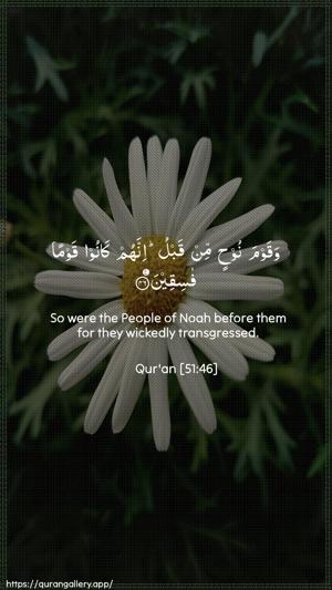 Adh-Dhaariyat Ayah 46 - Arabic + English wallpaper
