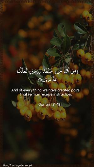 Adh-Dhaariyat Ayah 49 - Arabic + English wallpaper