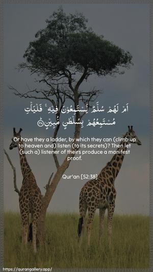 At-Tur Ayah 38 - Arabic + English wallpaper