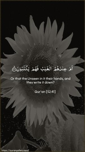At-Tur Ayah 41 - Arabic + English wallpaper