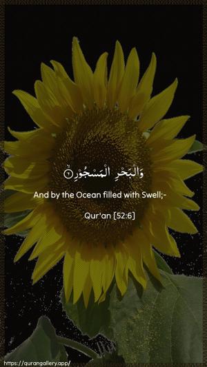 At-Tur Ayah 6 - Arabic + English wallpaper