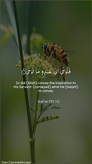 An-Najm Ayah 10 - Arabic + English wallpaper