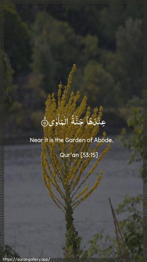 An-Najm Ayah 15 - Arabic + English wallpaper