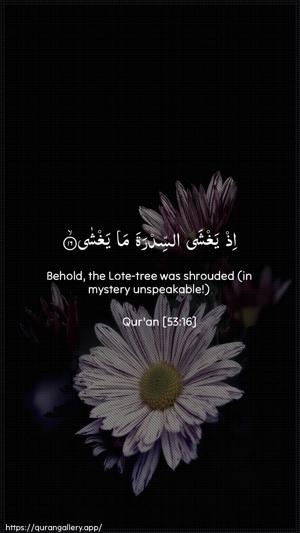 An-Najm Ayah 16 - Arabic + English wallpaper