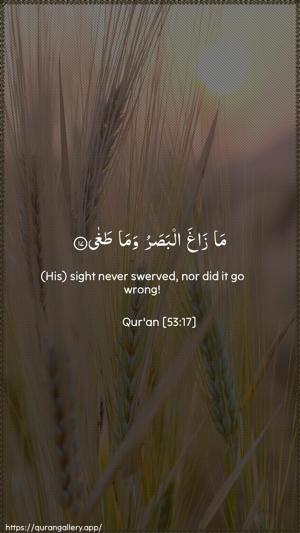 An-Najm Ayah 17 - Arabic + English wallpaper