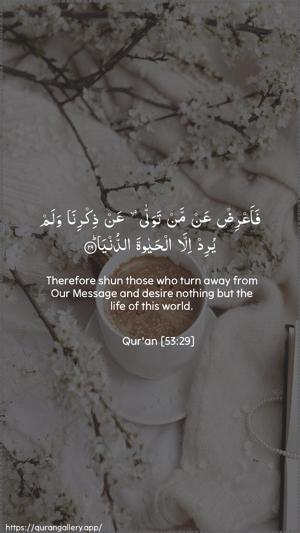 An-Najm Ayah 29 - Arabic + English wallpaper