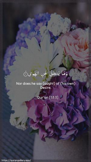 An-Najm Ayah 3 - Arabic + English wallpaper