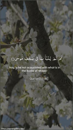 An-Najm Ayah 36 - Arabic + English wallpaper