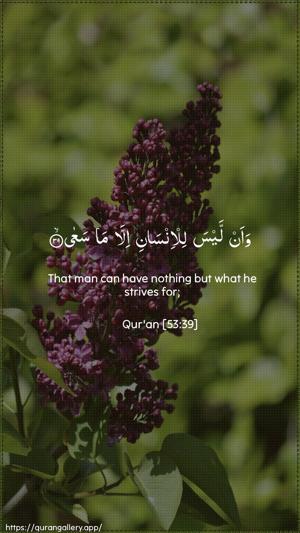 An-Najm Ayah 39 - Arabic + English wallpaper