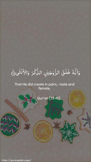 An-Najm Ayah 45 - Arabic + English wallpaper