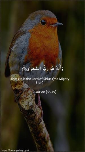 An-Najm Ayah 49 - Arabic + English wallpaper
