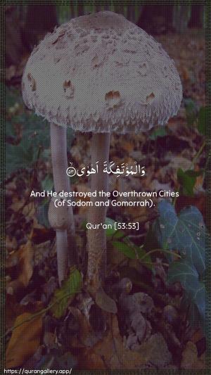 An-Najm Ayah 53 - Arabic + English wallpaper
