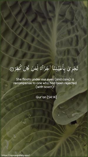 Al-Qamar Ayah 14 - Arabic + English wallpaper