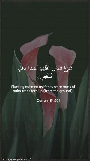 Al-Qamar Ayah 20 - Arabic + English wallpaper