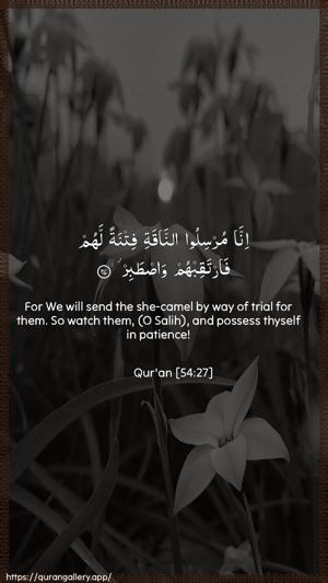 Al-Qamar Ayah 27 - Arabic + English wallpaper