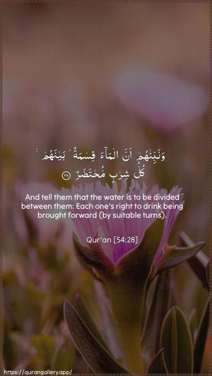 Al-Qamar Ayah 28 - Arabic + English wallpaper
