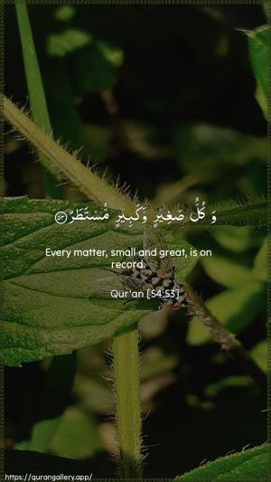 Al-Qamar Ayah 53 - Arabic + English wallpaper