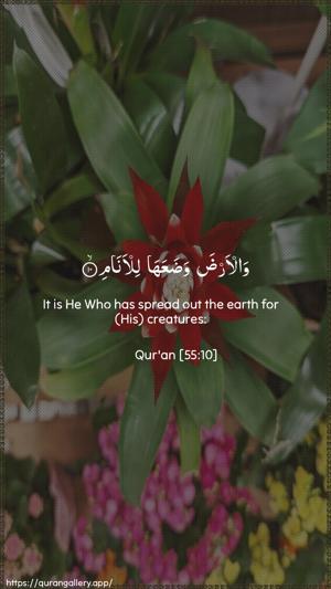 Ar-Rahmaan Ayah 10 - Arabic + English wallpaper