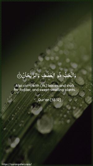 Ar-Rahmaan Ayah 12 - Arabic + English wallpaper