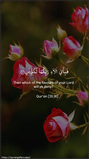 Ar-Rahmaan Ayah 16 - Arabic + English wallpaper