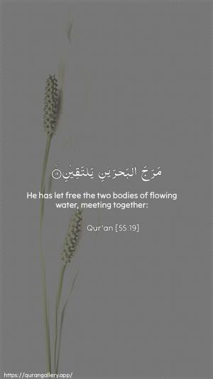 Ar-Rahmaan Ayah 19 - Arabic + English wallpaper