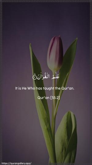 Ar-Rahmaan Ayah 2 - Arabic + English wallpaper