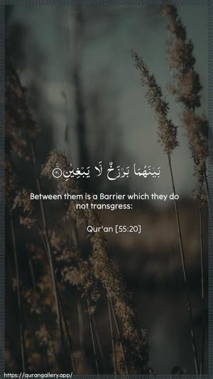 Ar-Rahmaan Ayah 20 - Arabic + English wallpaper