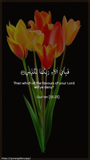 Ar-Rahmaan Ayah 23 - Arabic + English wallpaper