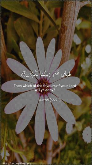 Ar-Rahmaan Ayah 25 - Arabic + English wallpaper