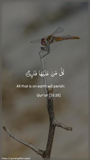 Ar-Rahmaan Ayah 26 - Arabic + English wallpaper