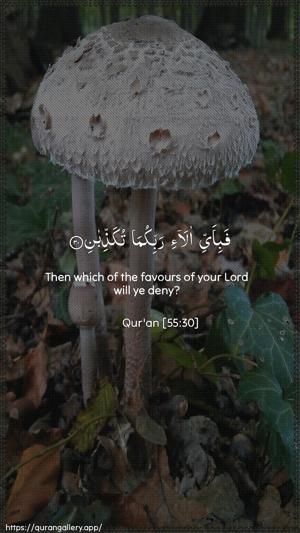 Ar-Rahmaan Ayah 30 - Arabic + English wallpaper