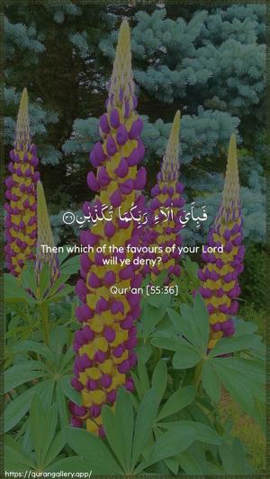 Ar-Rahmaan Ayah 36 - Arabic + English wallpaper
