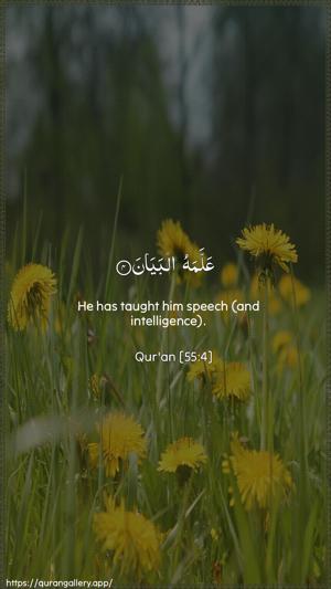 Ar-Rahmaan Ayah 4 - Arabic + English wallpaper
