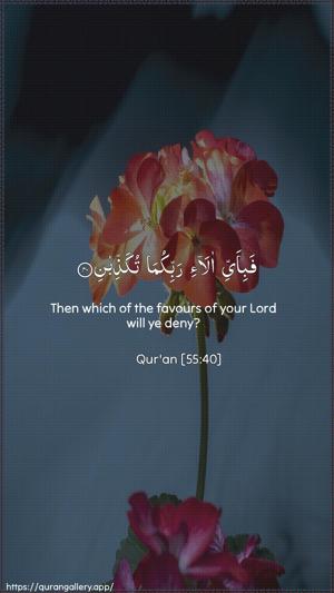 Ar-Rahmaan Ayah 40 - Arabic + English wallpaper