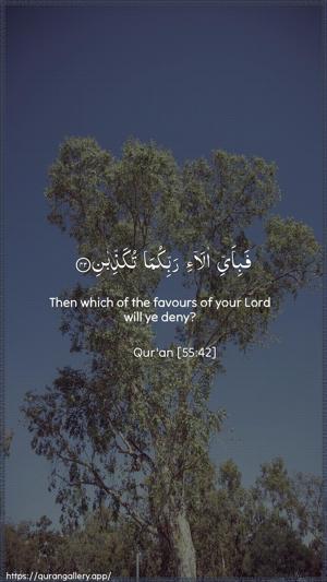 Ar-Rahmaan Ayah 42 - Arabic + English wallpaper
