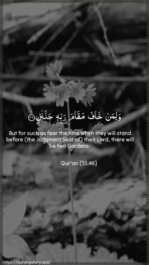 Ar-Rahmaan Ayah 46 - Arabic + English wallpaper