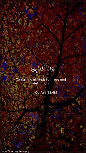 Ar-Rahmaan Ayah 48 - Arabic + English wallpaper