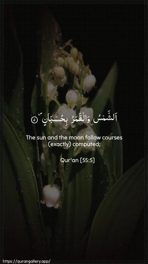 Ar-Rahmaan Ayah 5 - Arabic + English wallpaper