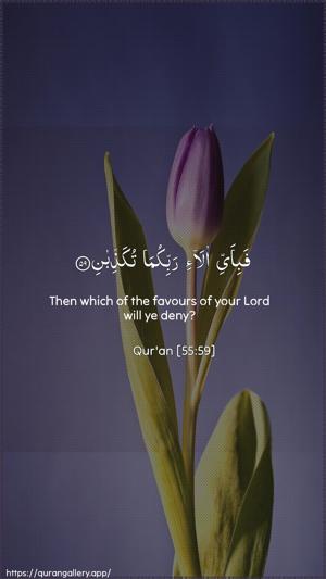 Ar-Rahmaan Ayah 59 - Arabic + English wallpaper