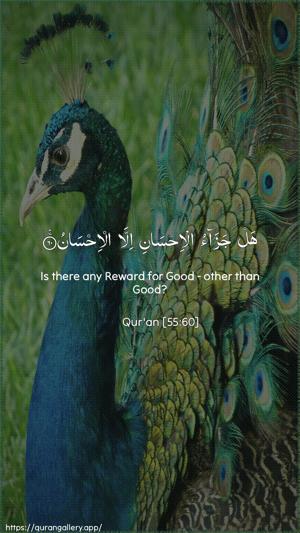 Ar-Rahmaan Ayah 60 - Arabic + English wallpaper