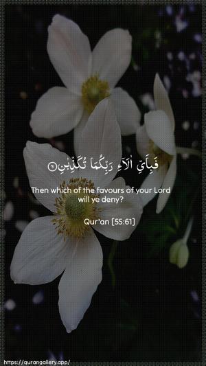Ar-Rahmaan Ayah 61 - Arabic + English wallpaper