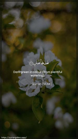 Ar-Rahmaan Ayah 64 - Arabic + English wallpaper