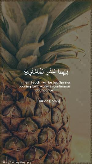 Ar-Rahmaan Ayah 66 - Arabic + English wallpaper