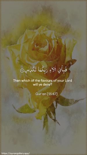 Ar-Rahmaan Ayah 67 - Arabic + English wallpaper