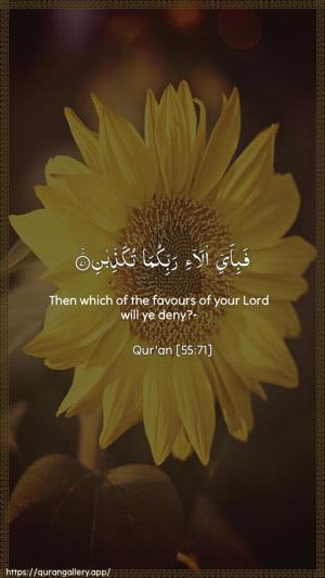 Ar-Rahmaan Ayah 71 - Arabic + English wallpaper