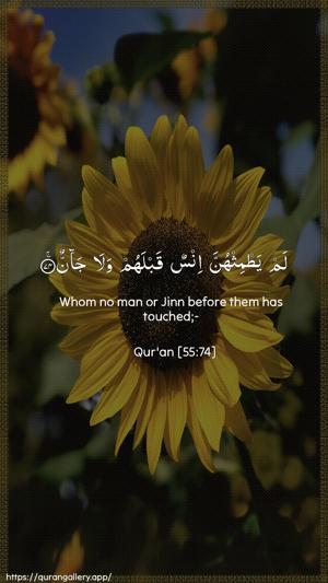 Ar-Rahmaan Ayah 74 - Arabic + English wallpaper