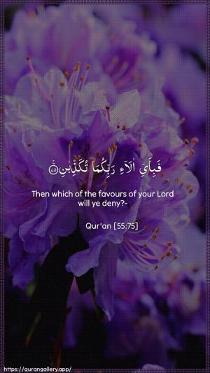 Ar-Rahmaan Ayah 75 - Arabic + English wallpaper