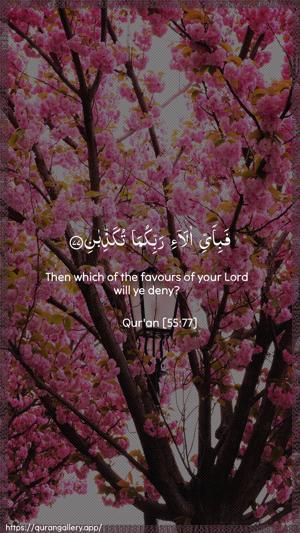 Ar-Rahmaan Ayah 77 - Arabic + English wallpaper